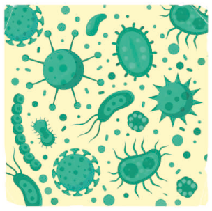 তৃতীয় অধ্যায় | বীজগাণিতিক রাশি